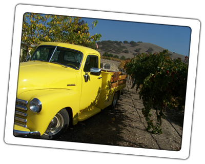Old truck in the vineyard